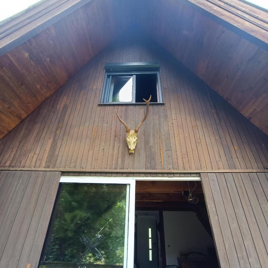 Chalet- Vallee De Luchon - Vallee De La Pique Cierp Buitenkant foto